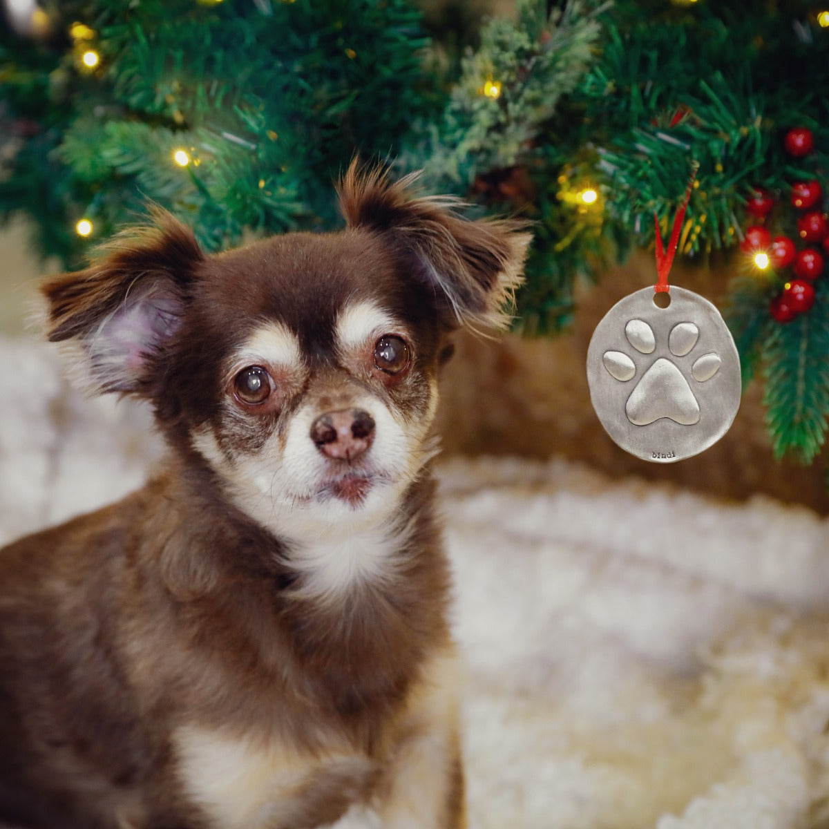 Furry Footprint Ornament {Pewter}