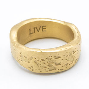 Withstand Ring [14k Gold]